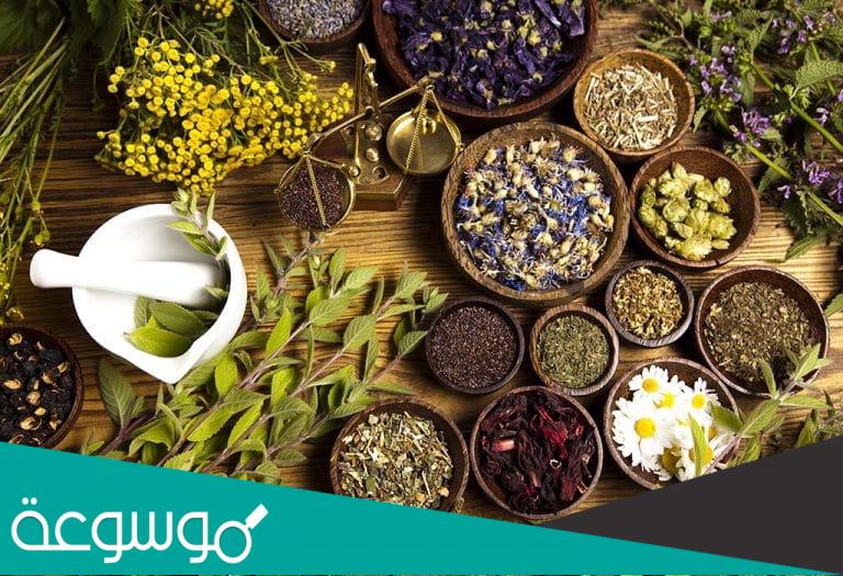 أفضل الأعشاب العلاجية التي يجب توفيرها في المنزل