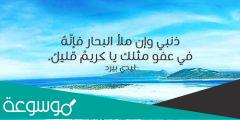 أفضل شعر عن البحر