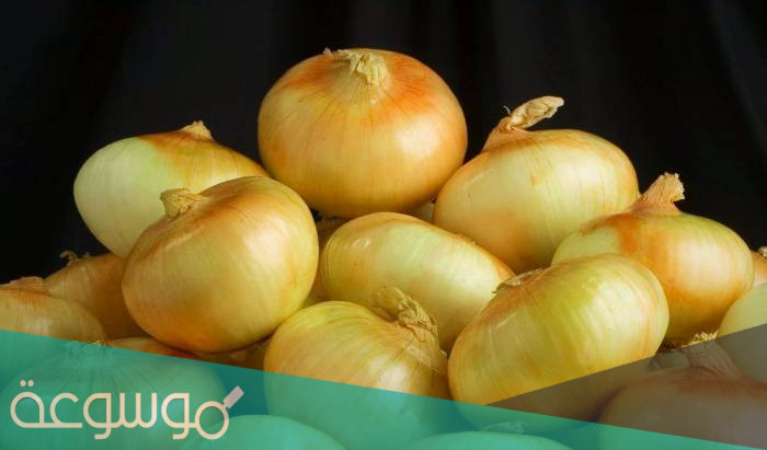 أكثر دول العالم إنتاجا للبصل