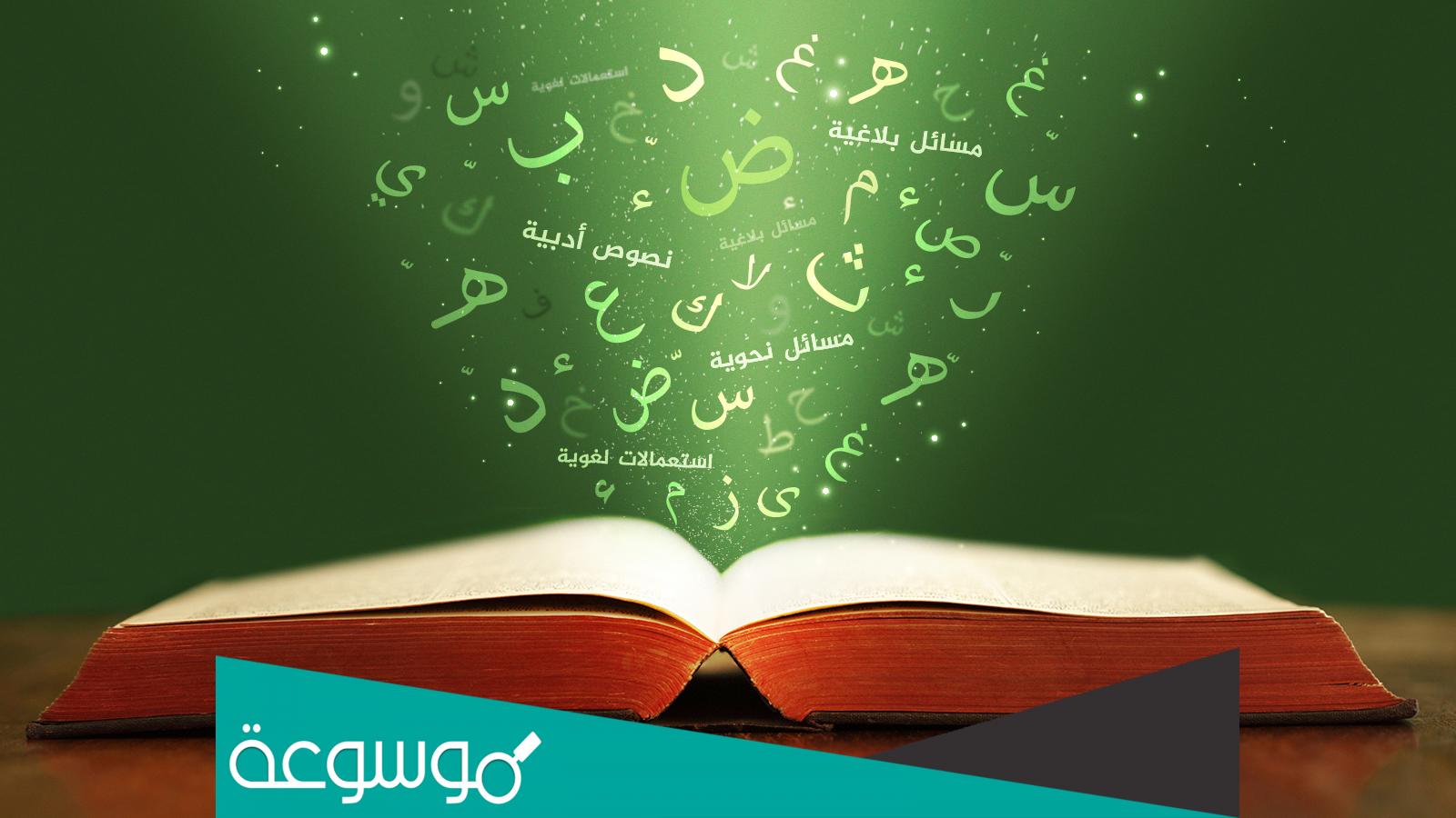 أنواع ” حتى ” في اللغة العربية وإستخداماتها ووظيفتها