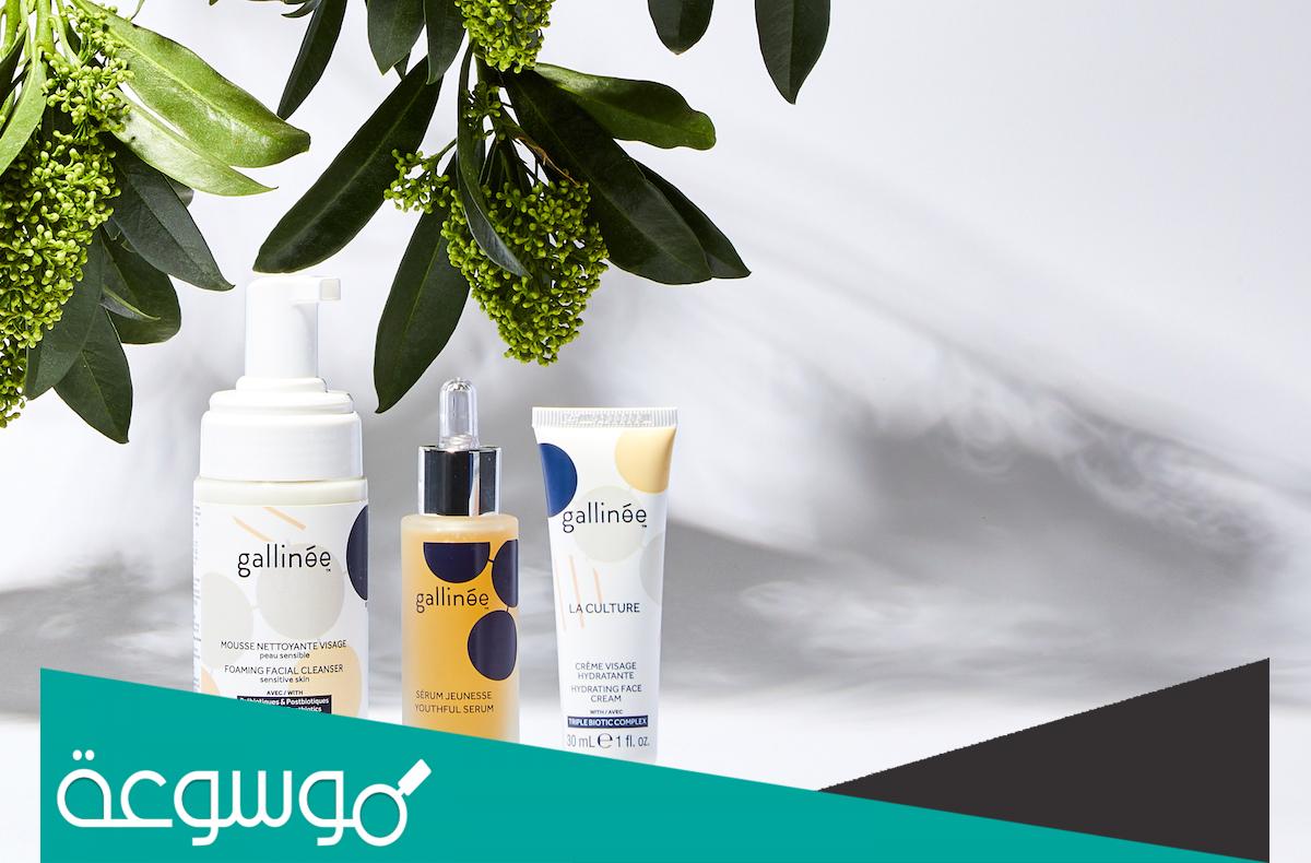 أنواع منتجات جاليني – Gallinée