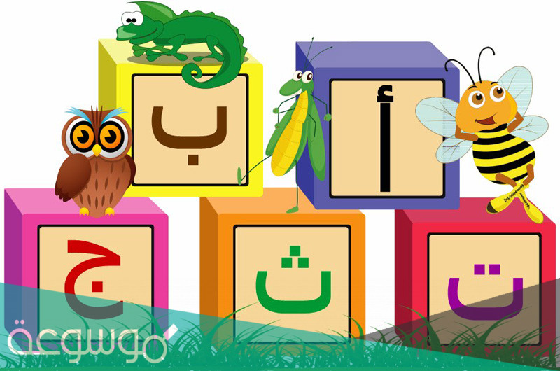 أوراق عمل لمادة لغتي الصف الأول الابتدائي صف أول