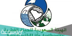 ابحث عن تعليمات الهيئه السعوديه للحياه الفطريه