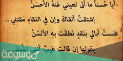 ابيات قصيده عن الشوق مكتوبة