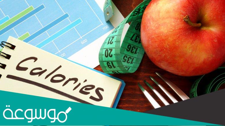 احسب السعرات الحرارية لتثبيت وزنك