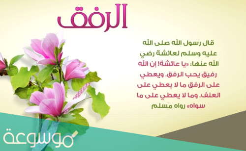 اذاعه مدرسيه عن الرفق كامله