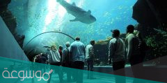 اسعار تذاكر فقيه اكواريوم جده 2022 ( حجز تذاكر أكواريوم فقيه جده)
