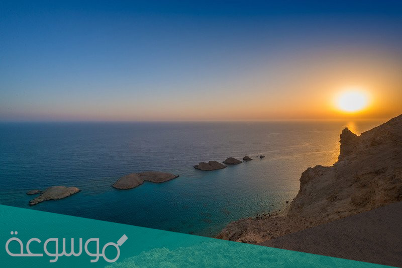 اسماء اعضاء المجلس الاستشاري لمشروع نيوم