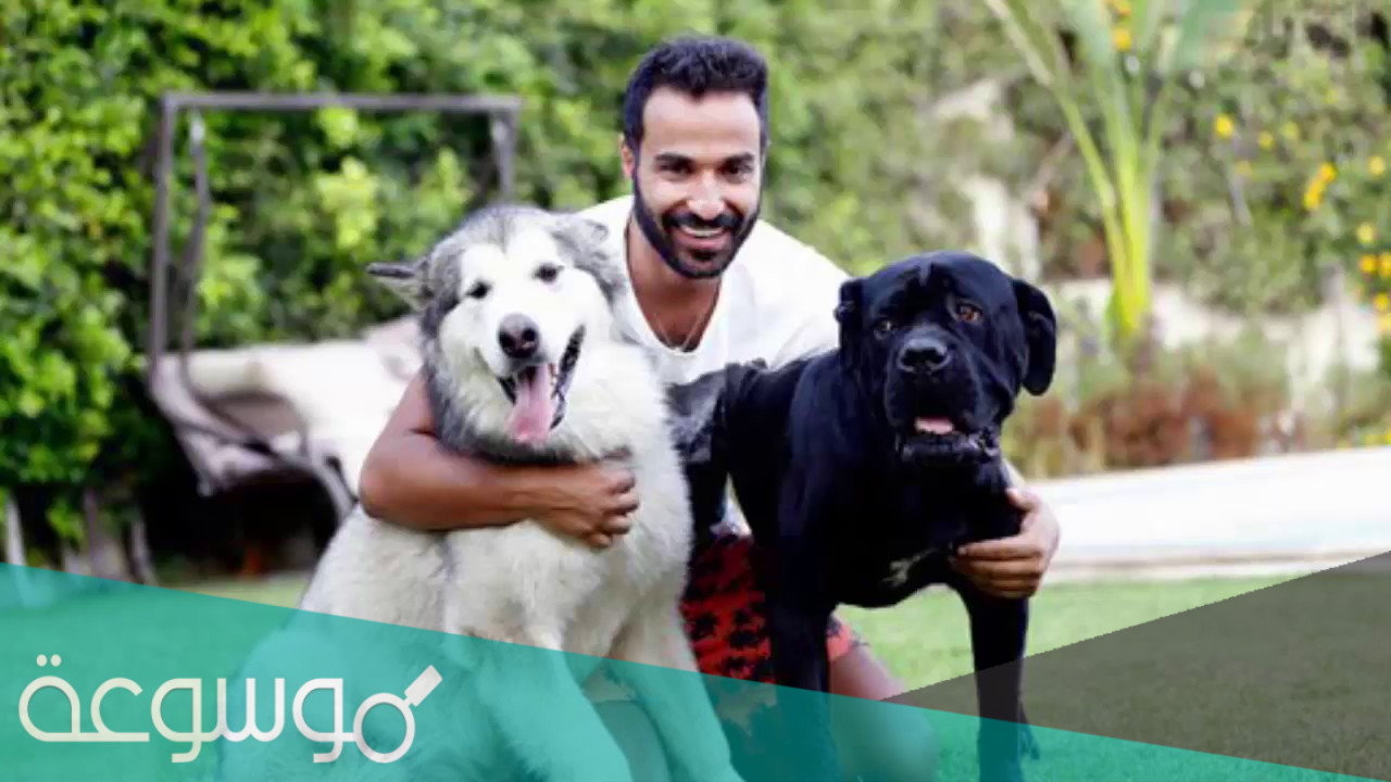 اسماء كلاب الفنانين