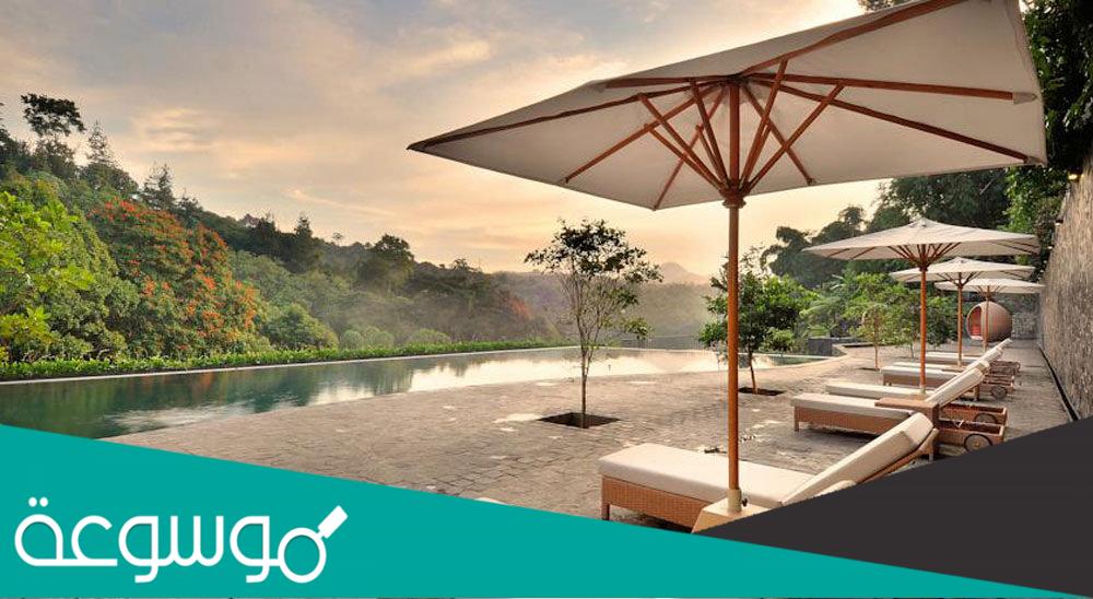 افضل فنادق الغابات الممطرة في اندونيسيا