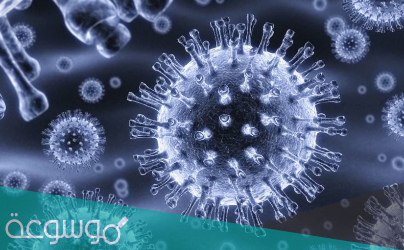 اكتب قائمة تبين فيها فوائد دراسة علم الاحياء