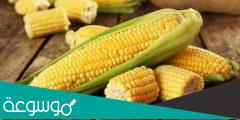 اكثر من 20 فائدة من فوائد الذرة