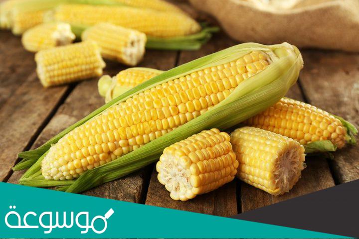 اكثر من 20 فائدة من فوائد الذرة