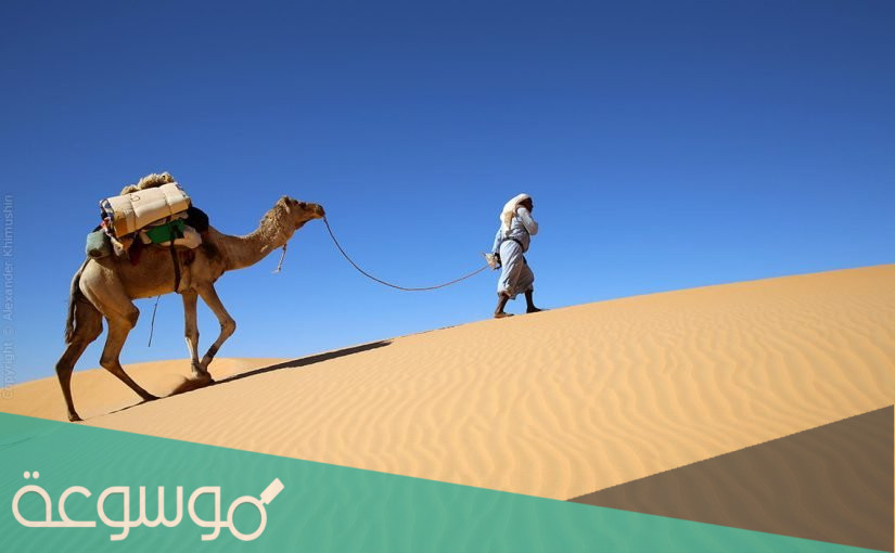 الجعيد وش يرجع‎ .. اصل قبيلة الجعيد من وين