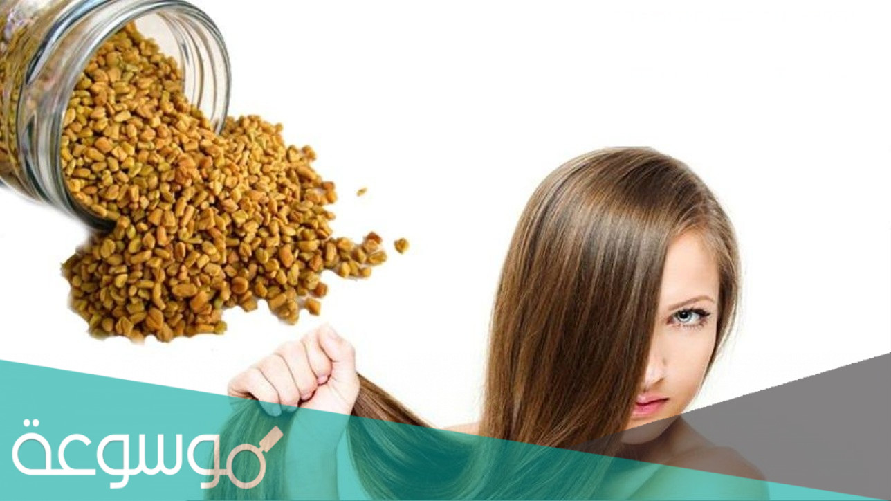 الحلبة لعلاج القشرة