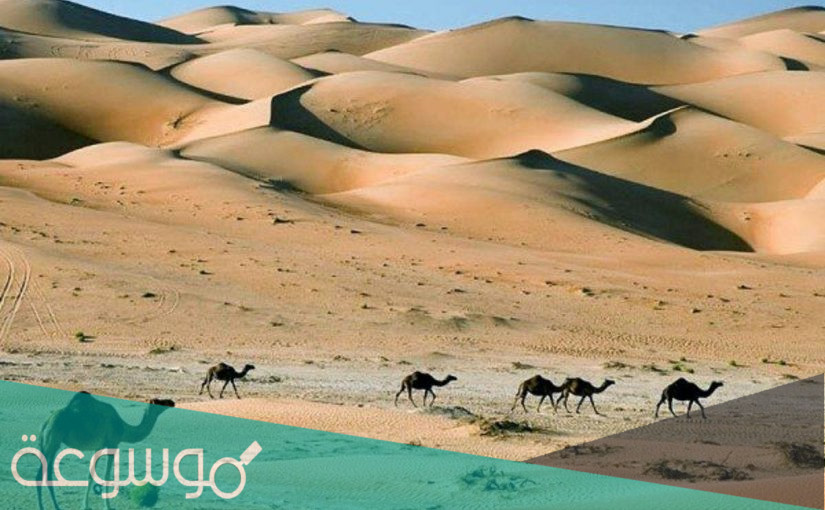 السقامي وش يرجعون .. أصل قبيلة السقامي