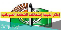 متى إعلان نتيجة الشهادة السودانية 2022