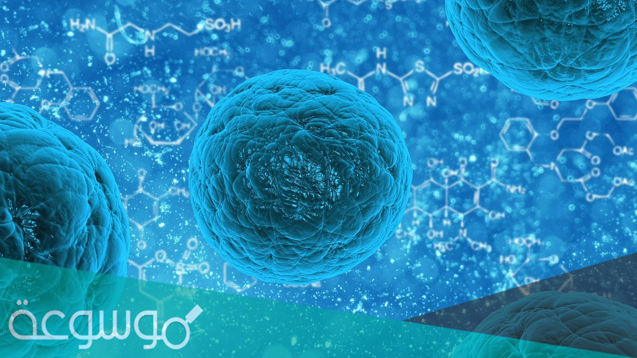 العملية التي يبرد فيها الغاز يتحول الى سائل تسمى