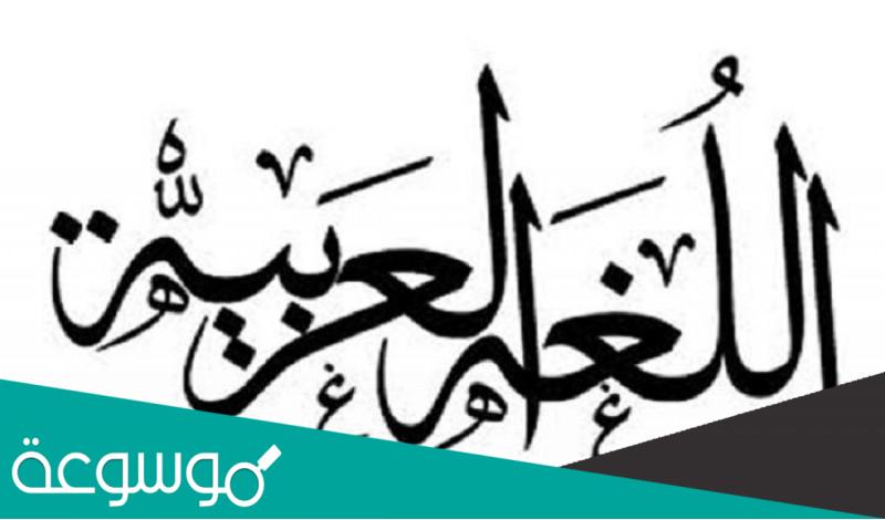 الفرق بين الاستعارة التمثيلية والتشبيه التمثيلي