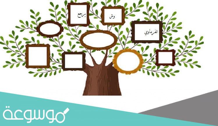 الفرماوي وش يرجع