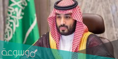 القبول في مساعدة محمد بن سلمان 20 ألف بالخطوات