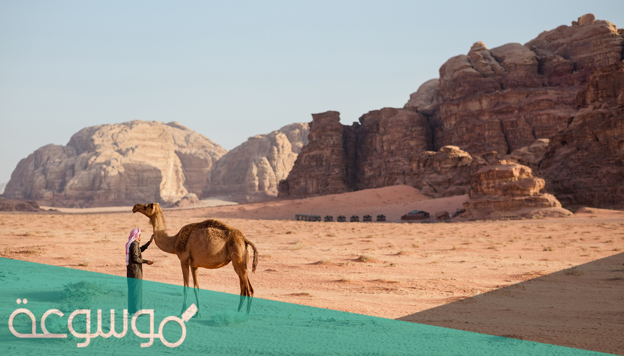 المحياني من اي قبيلة