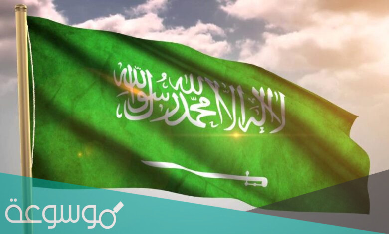 النومسي وش يرجع