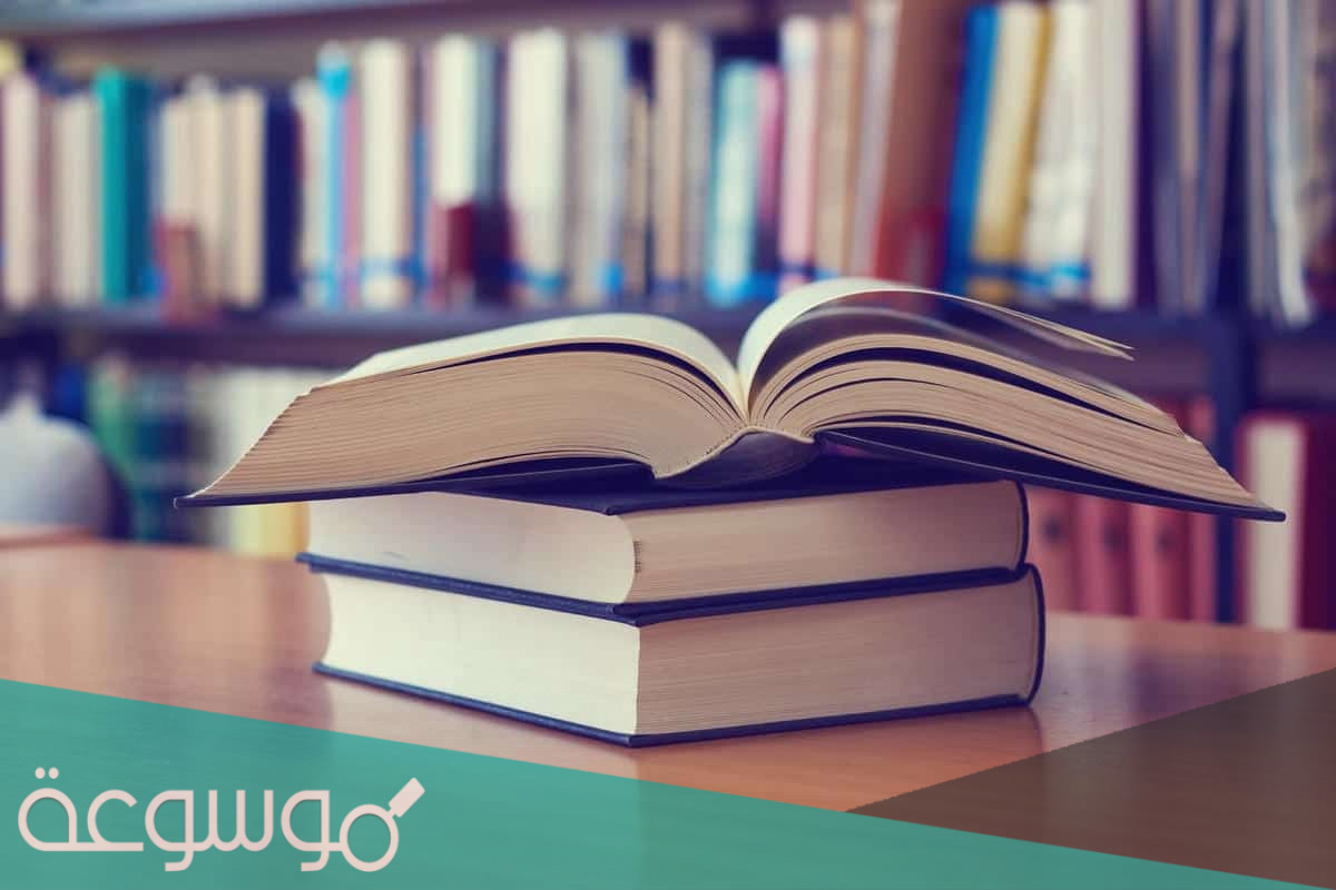 امثلة على المفعول معه