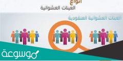 انواع العينات الاحصائية