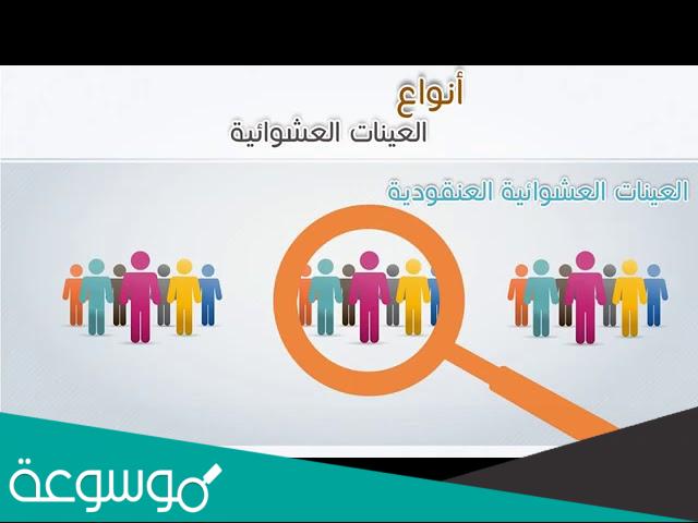 انواع العينات الاحصائية
