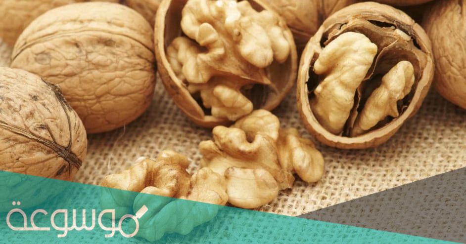 اهم 10 فوائد عين الجمل