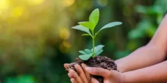 اهم وسائل المحافظة على البيئة