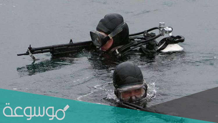 اول ضفدع بشرى فى التاريخ