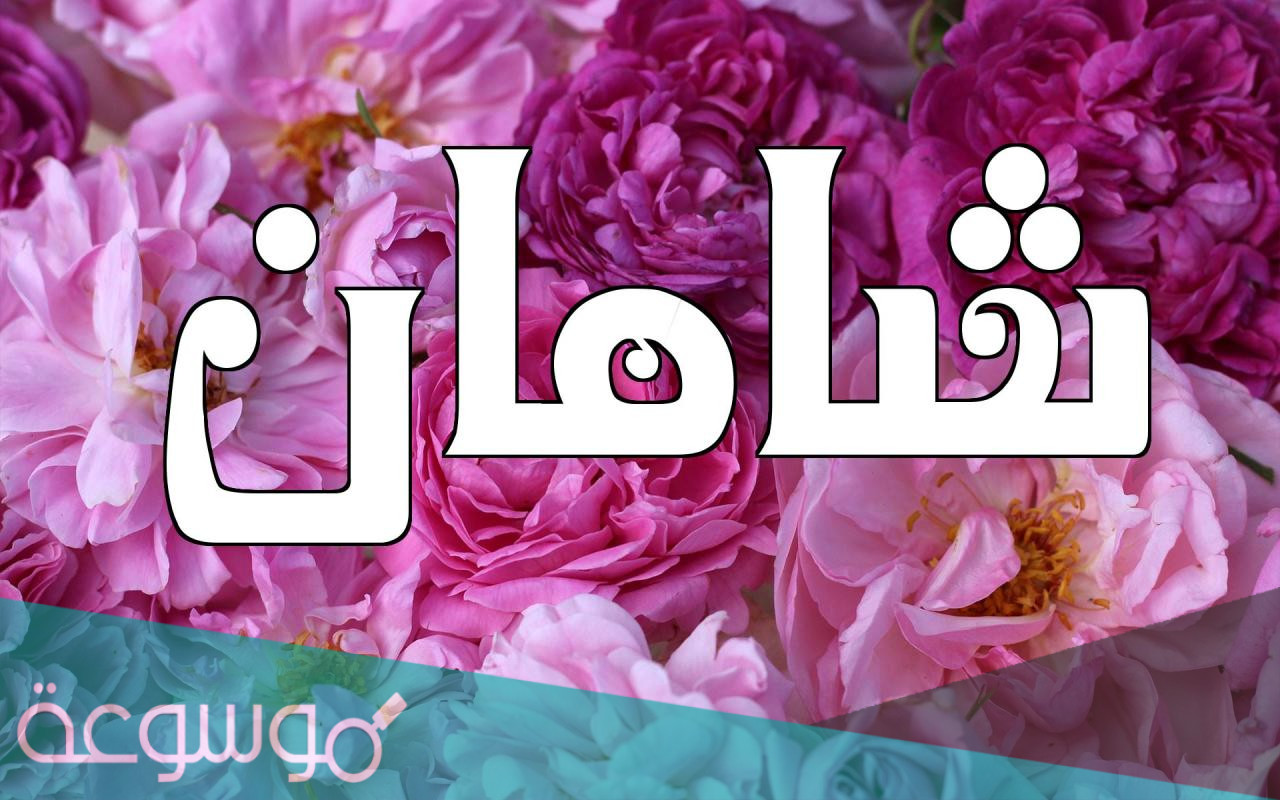 ايش معنى اسم شامان