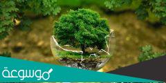 بحث عن البيئة أنواعها وعناصرها