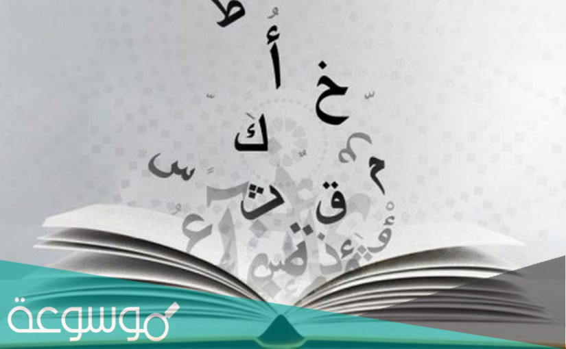 بحث عن التوابع في اللغة العربية