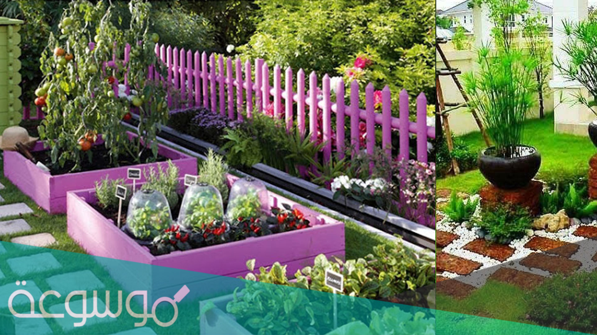 بحث عن الزراعة المنزلية