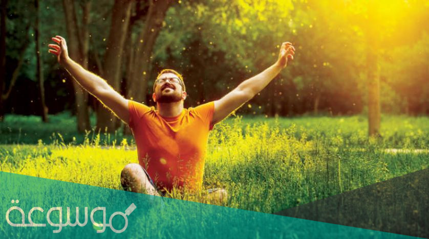 بحث عن علم بيئة المجتمعات الحيوية شامل