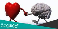 ما هي العلاقة بين العقل والعاطفة