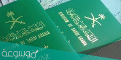 تجربتي فى استخراج جواز سفر بدل فاقد