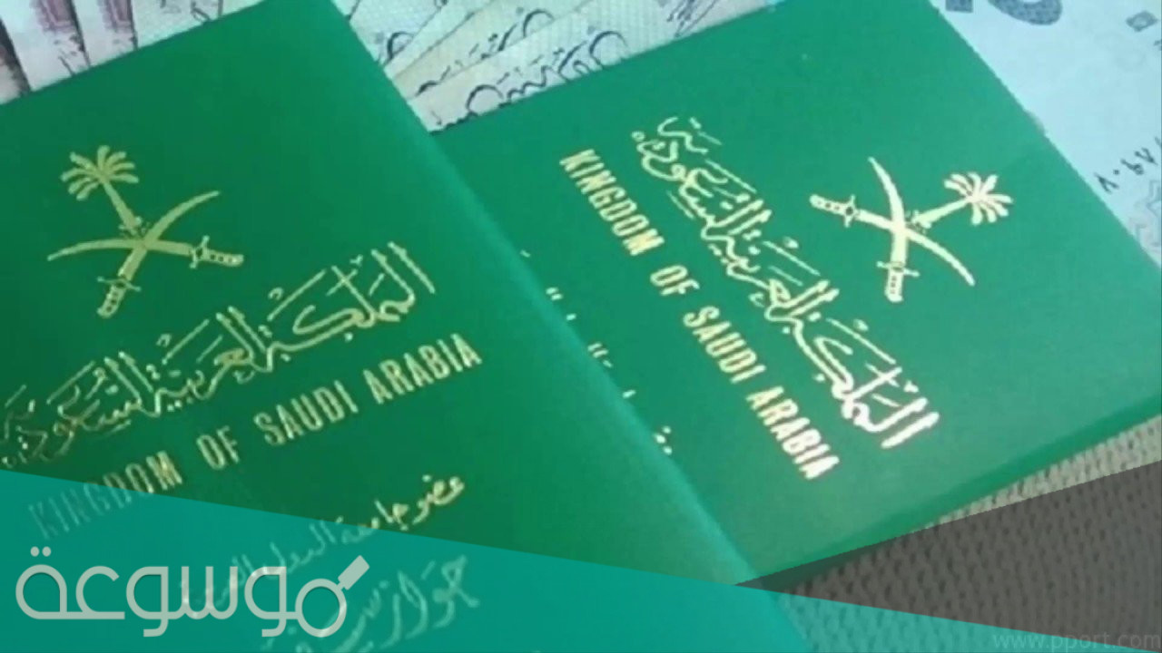 تجربتي فى استخراج جواز سفر بدل فاقد