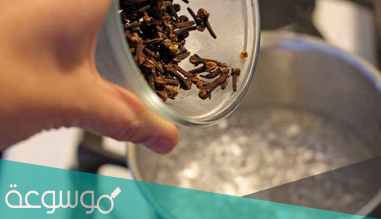 تجربتي مع القرنفل للشعر وفوائده