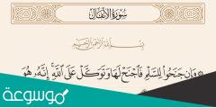 تفسير الآية ” وإن جنحوا للسلم فاجنح لها “