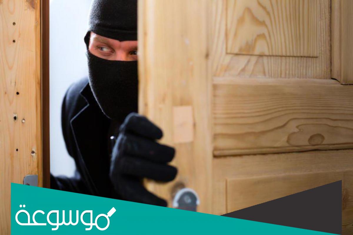 تفسير السارق في المنام للعزباء والحامل والمتزوجة