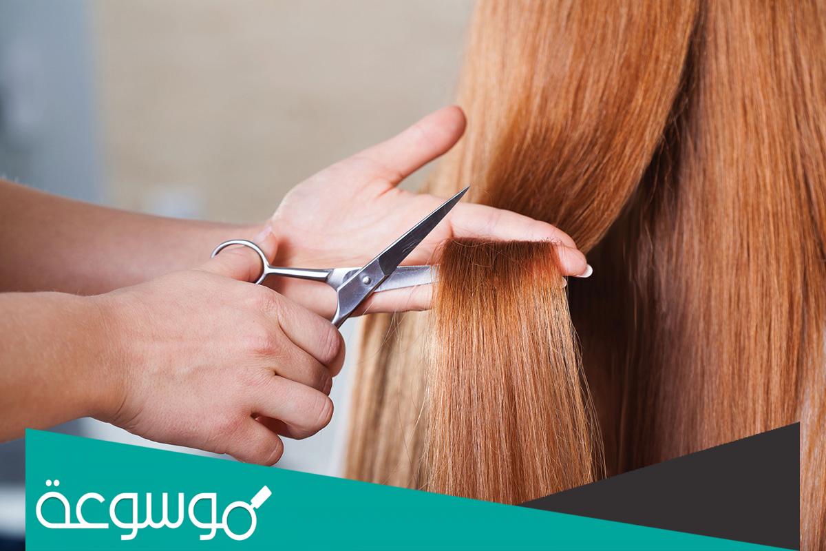 تفسير رؤية شخص يقص شعري في المنام حسب تفسير ابن سيرين