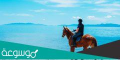 تفسير ركوب الخيل في المنام