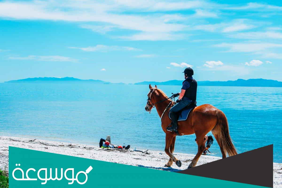 تفسير ركوب الخيل في المنام