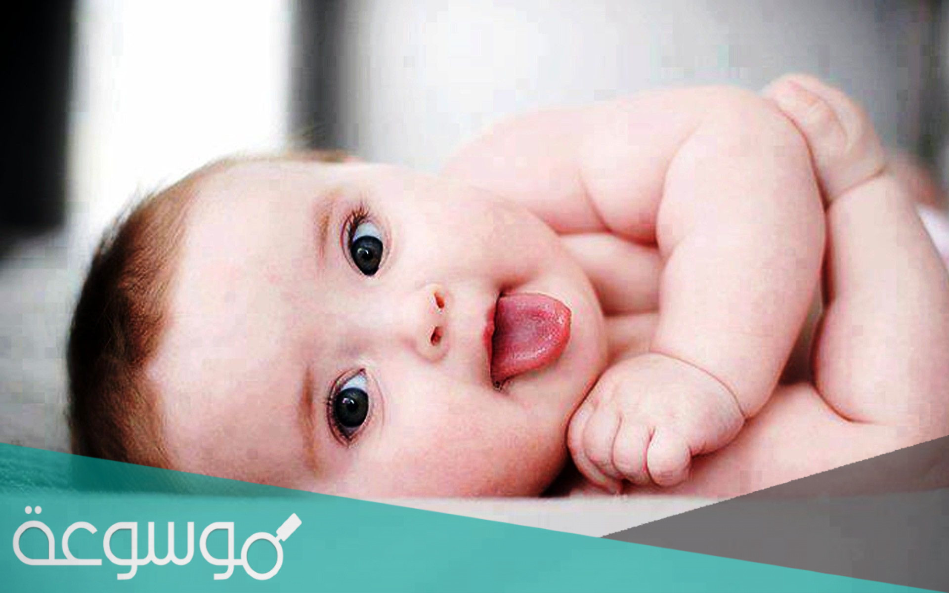 أجمل عبارات تهنئة بالمولودة