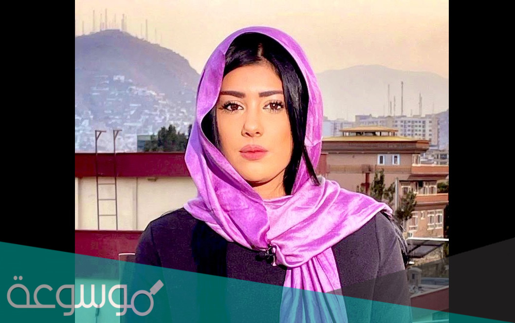 جنسية نادين خماش صحفية قناة العربية