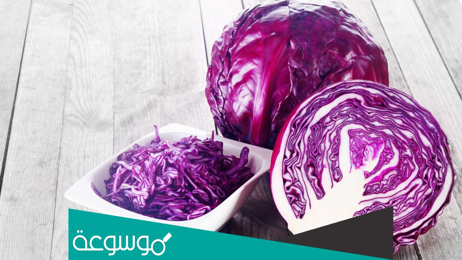 حمية الملفوف حمية المشاهير لخسارة الوزن